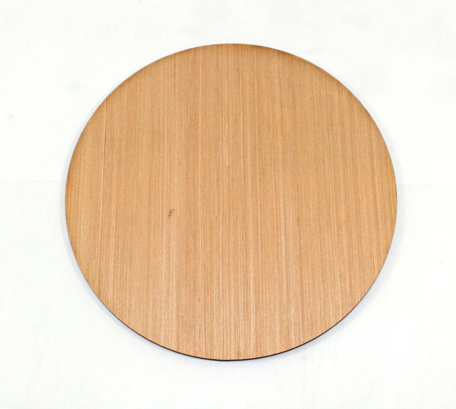 200mm Circle x 1