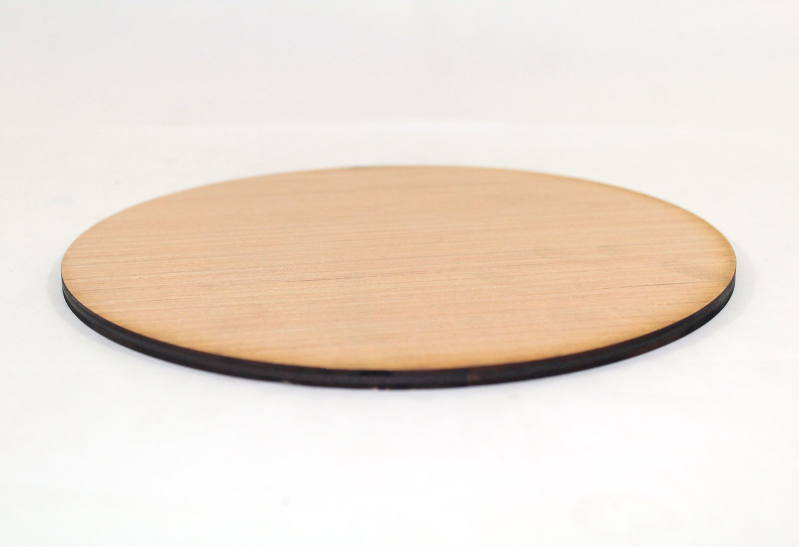 200mm Circle x 1 thickness