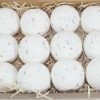 Bath Bombs reduced plastic 12 x 65g rounds Tropical Dream - Coconut scented