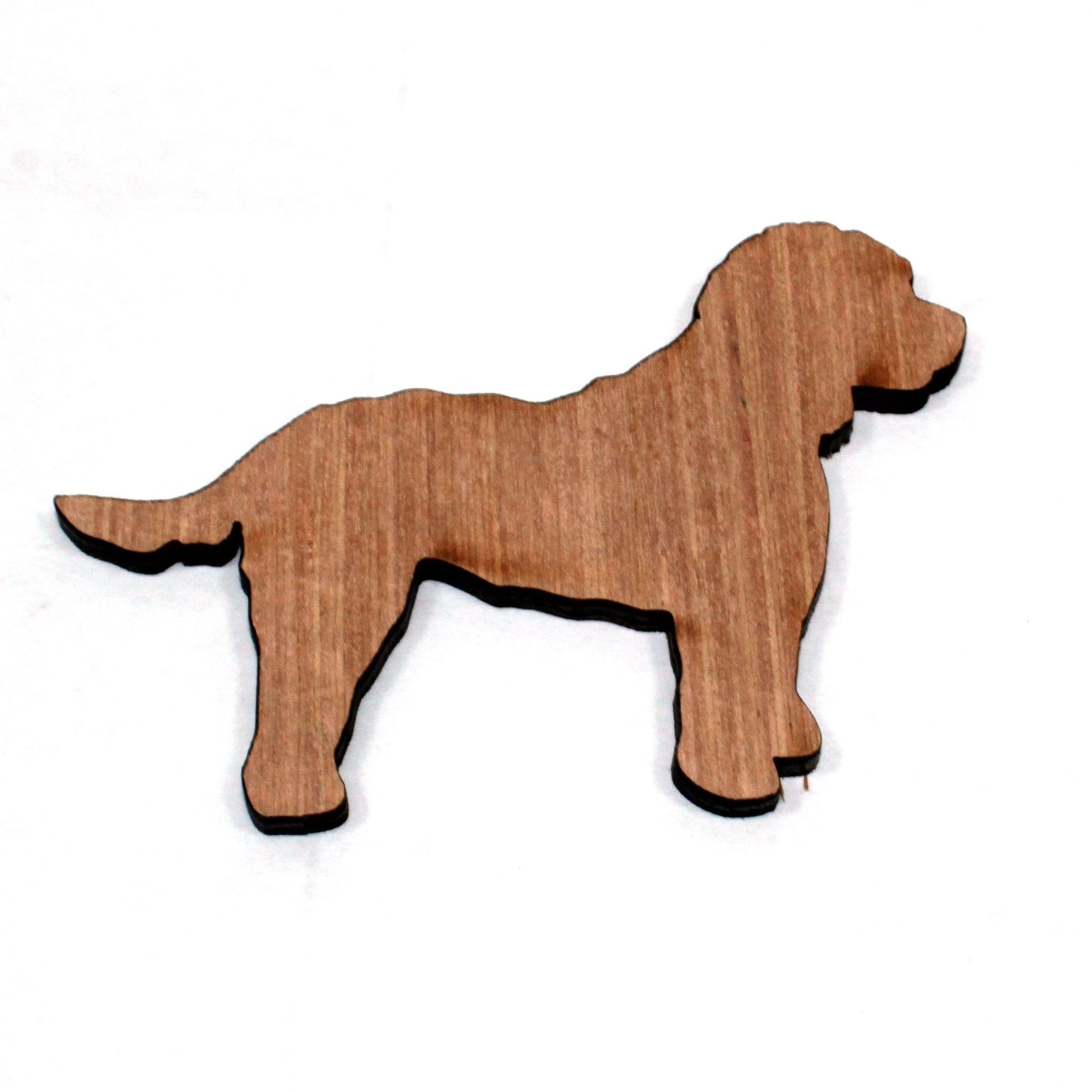 1 x Cockapoo