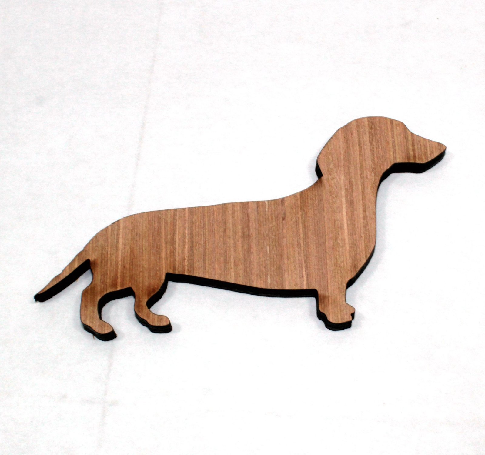 Daschund x 1