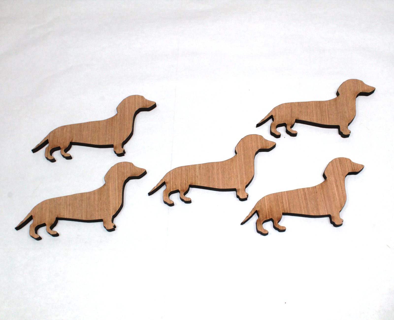 Daschund x 5