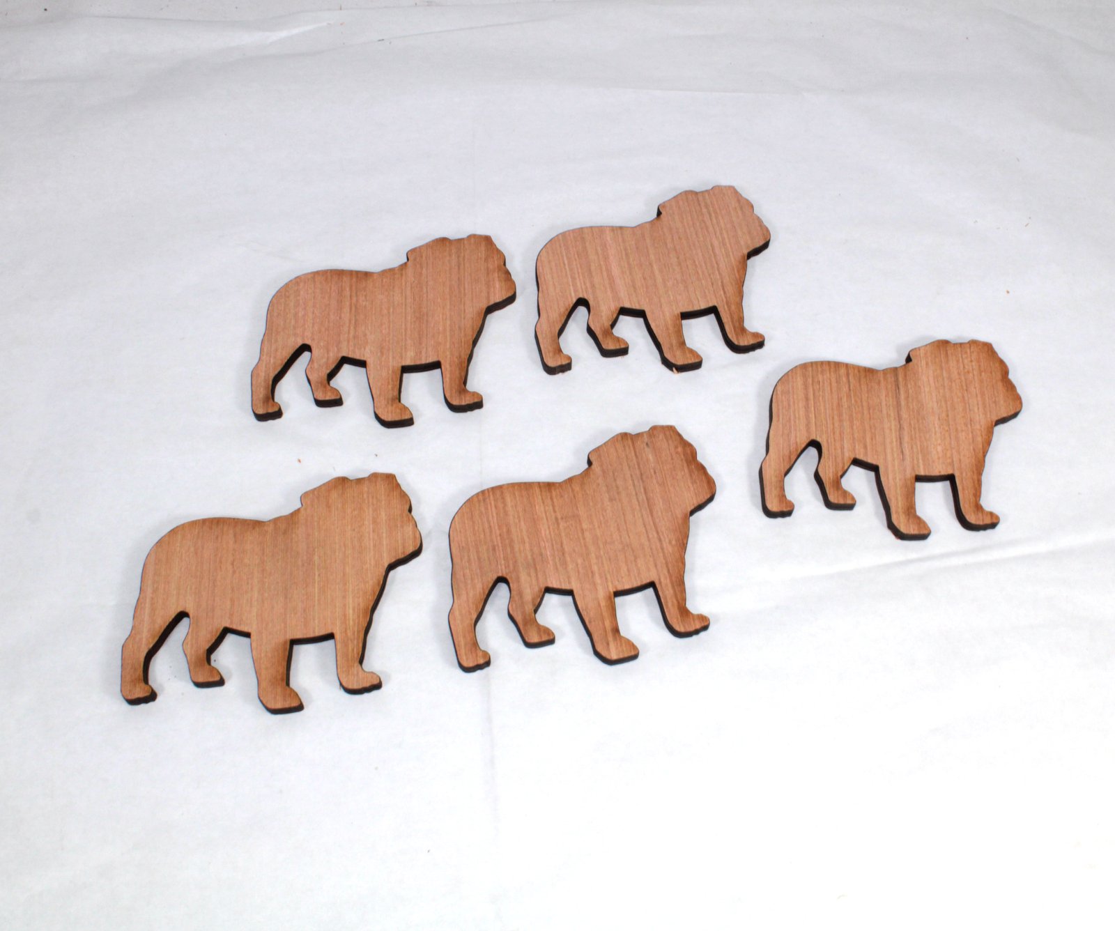 5 plywood english bulldogs