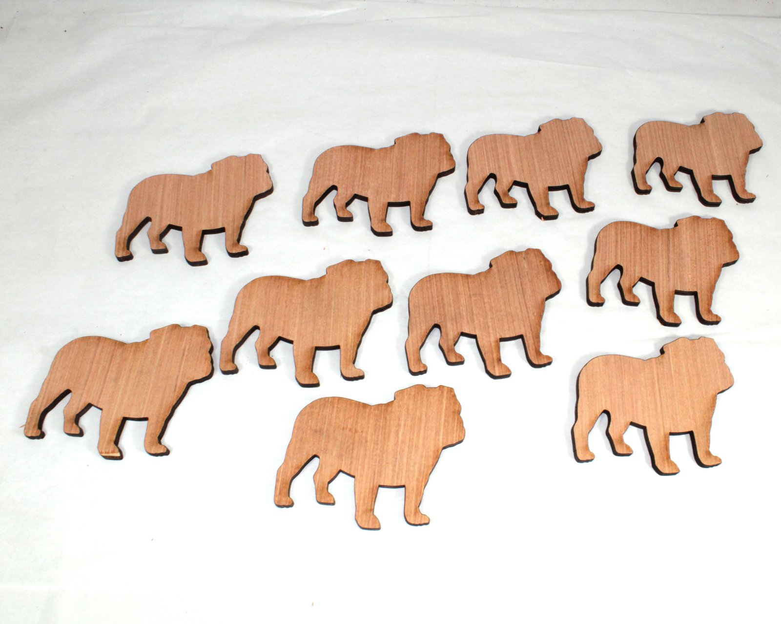 10 plywood english bulldogs