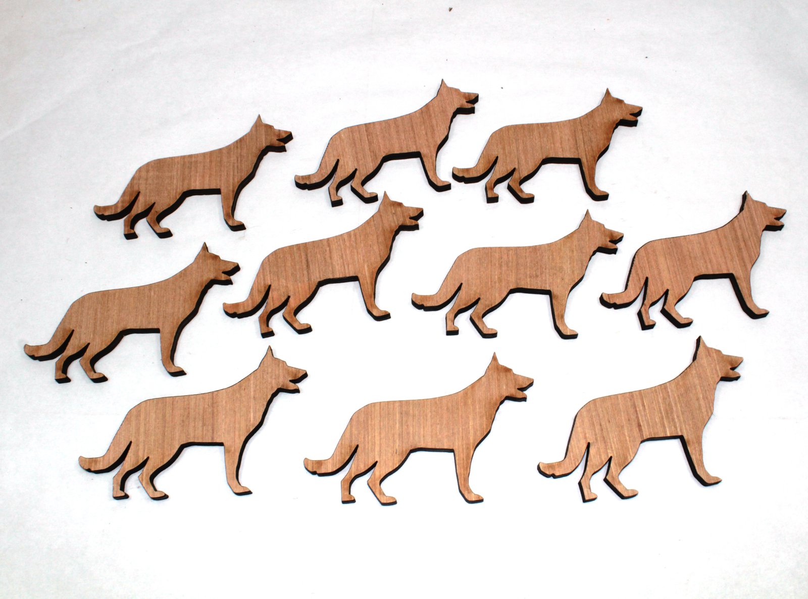 10 x German Sheppard