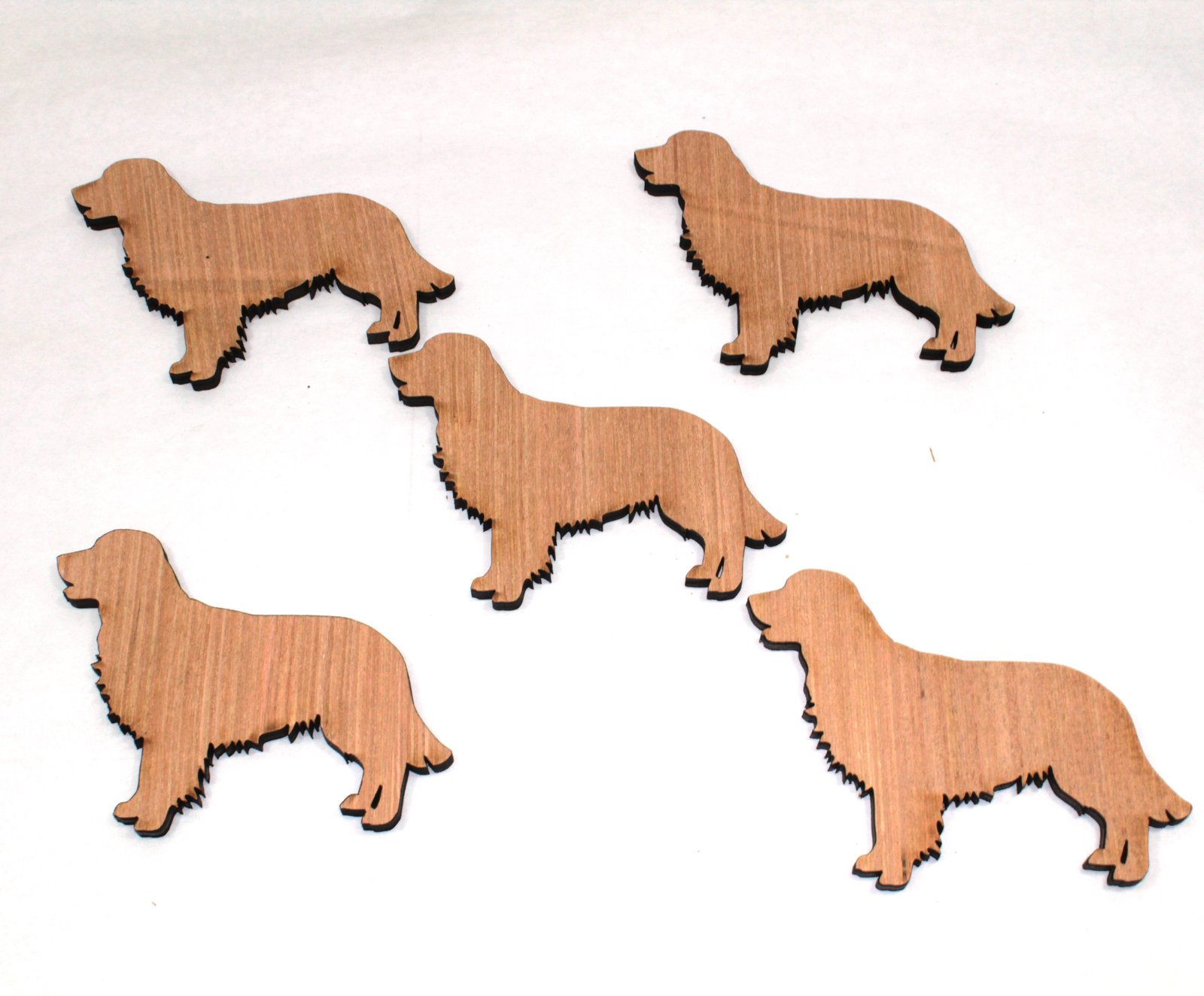 5 x Golden Retriever