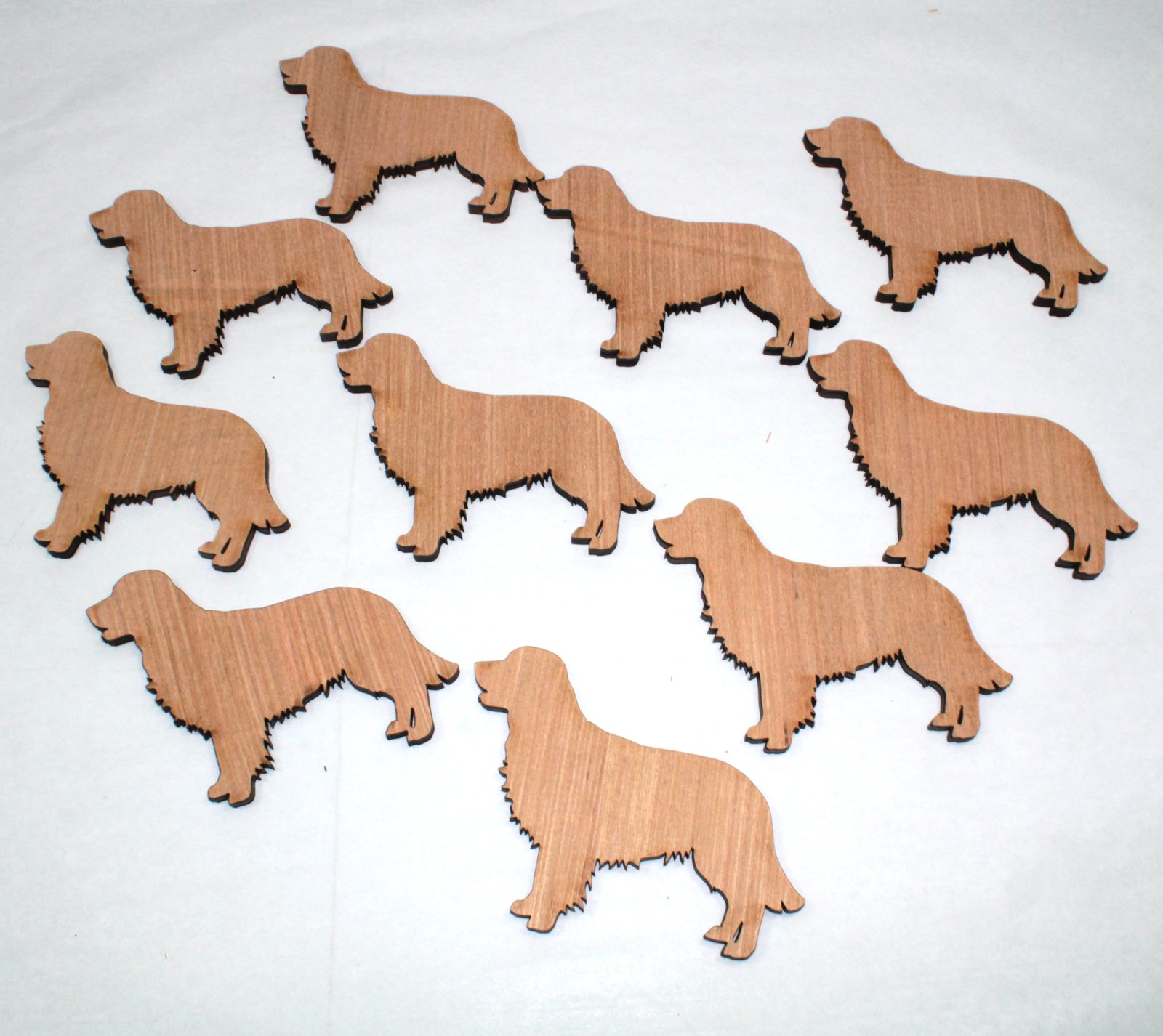 10 x Golden Retriever