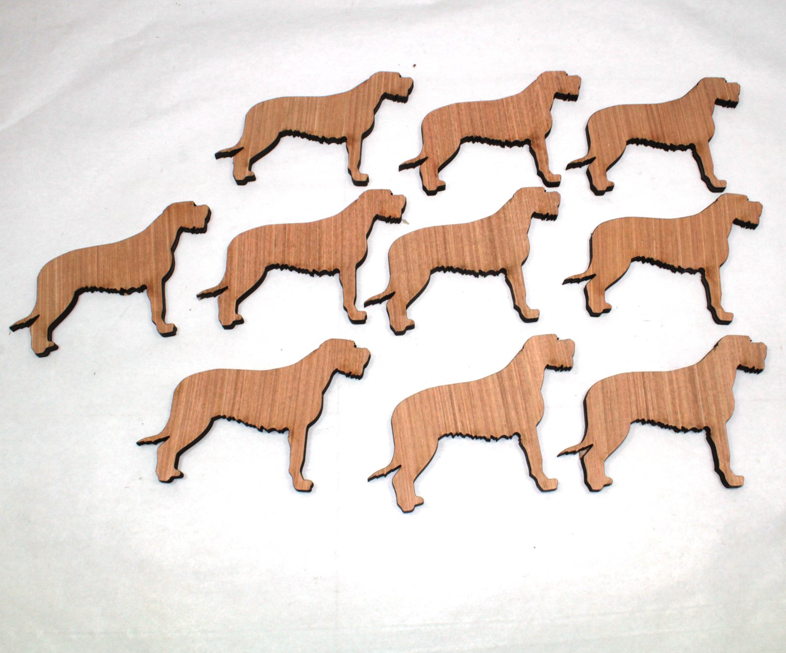 10 x Irish Wolfhound