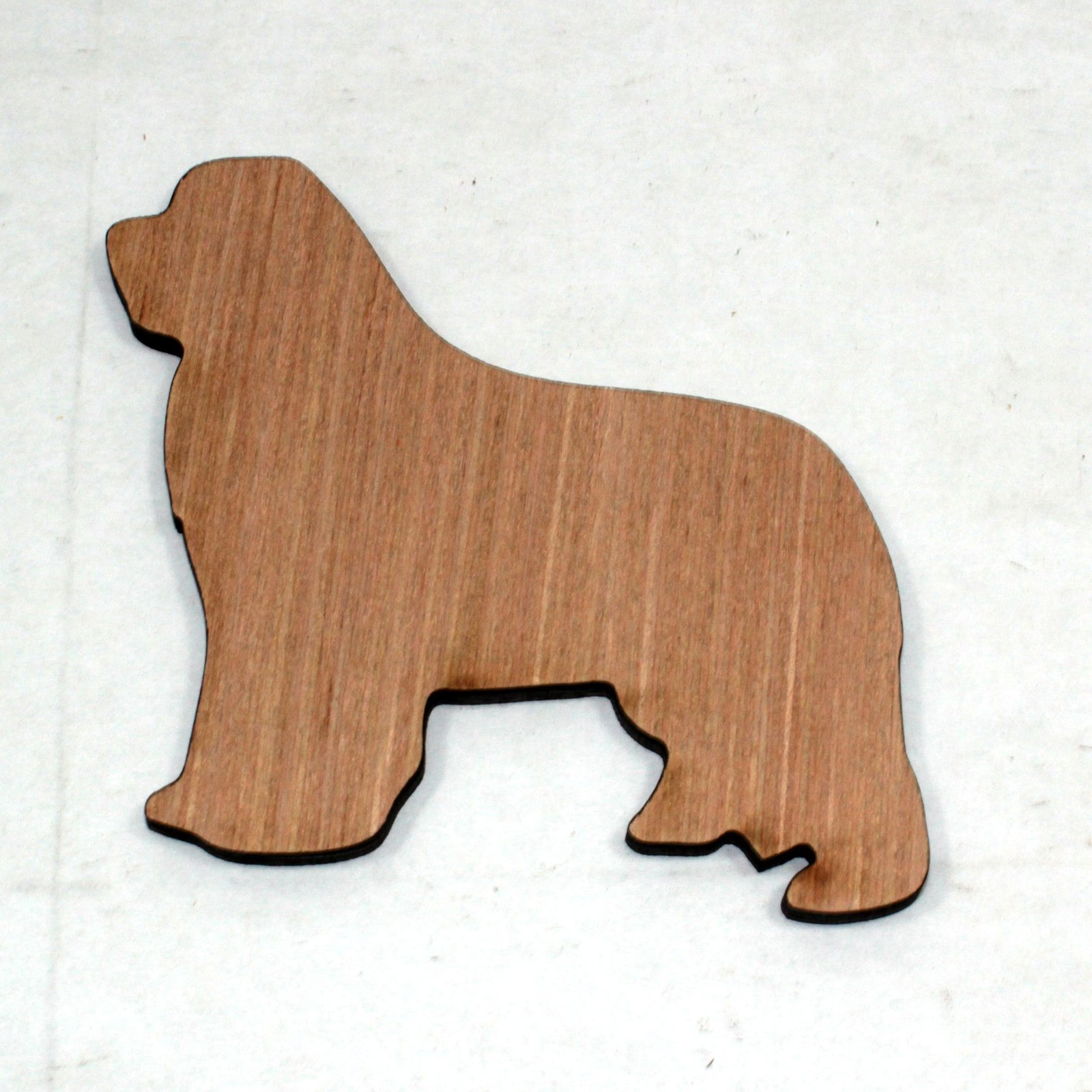 1 x Newfoundland