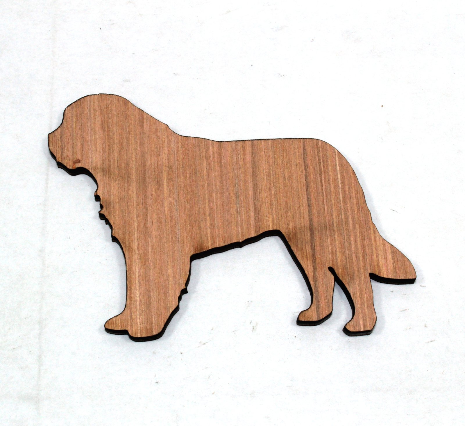 1 x St Bernard