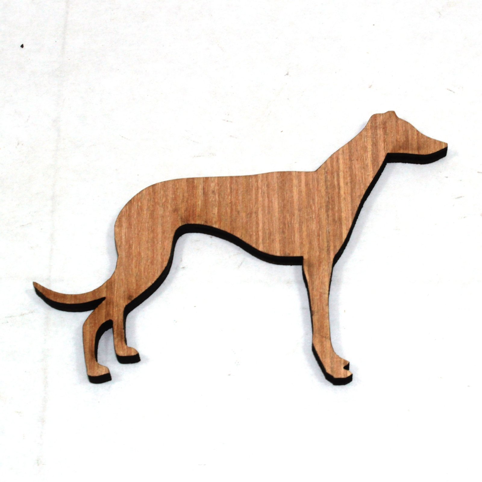 1 x Greyhound standing