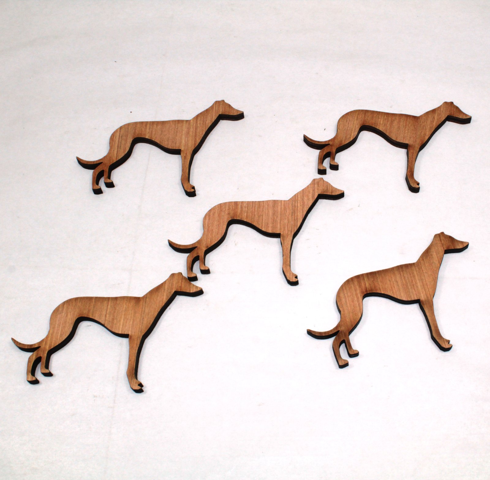 5 x Greyhound standing