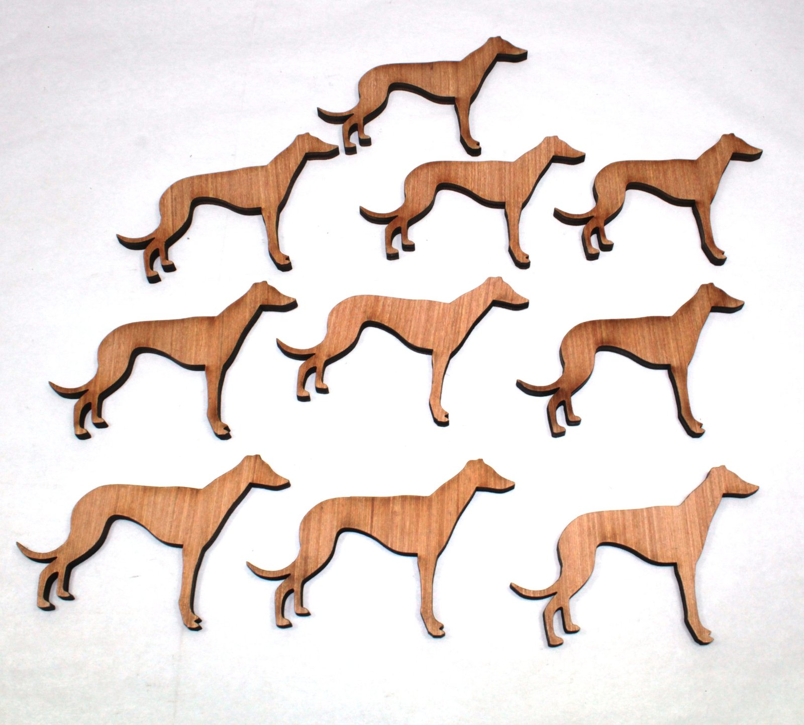 10 x Greyhound standing