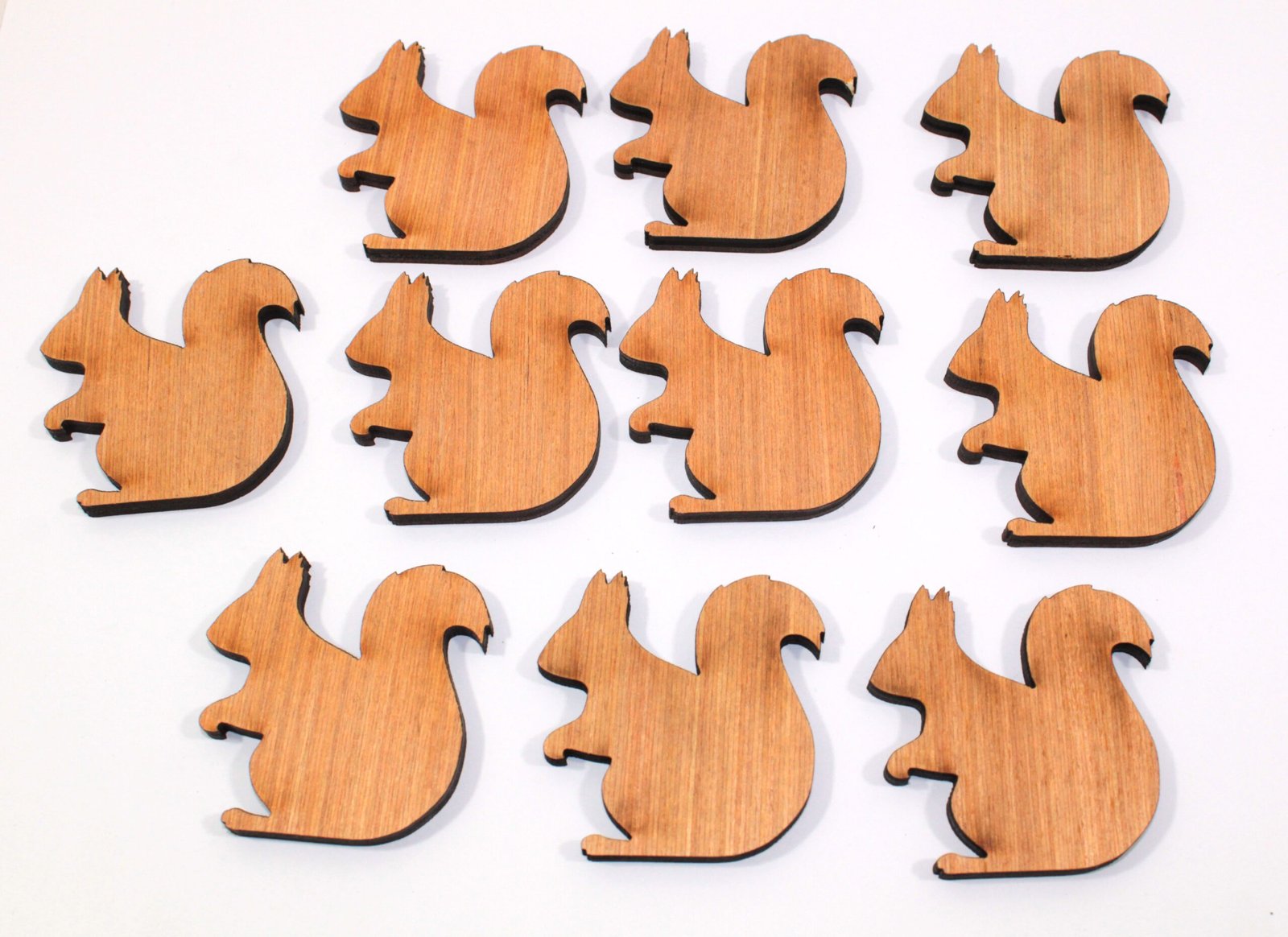 10 laser cut plywood squirrels