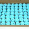 dewberry bath bombs