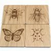 Insect Coasters