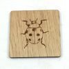Insect coaster lady bird