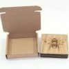 Insect Coasters